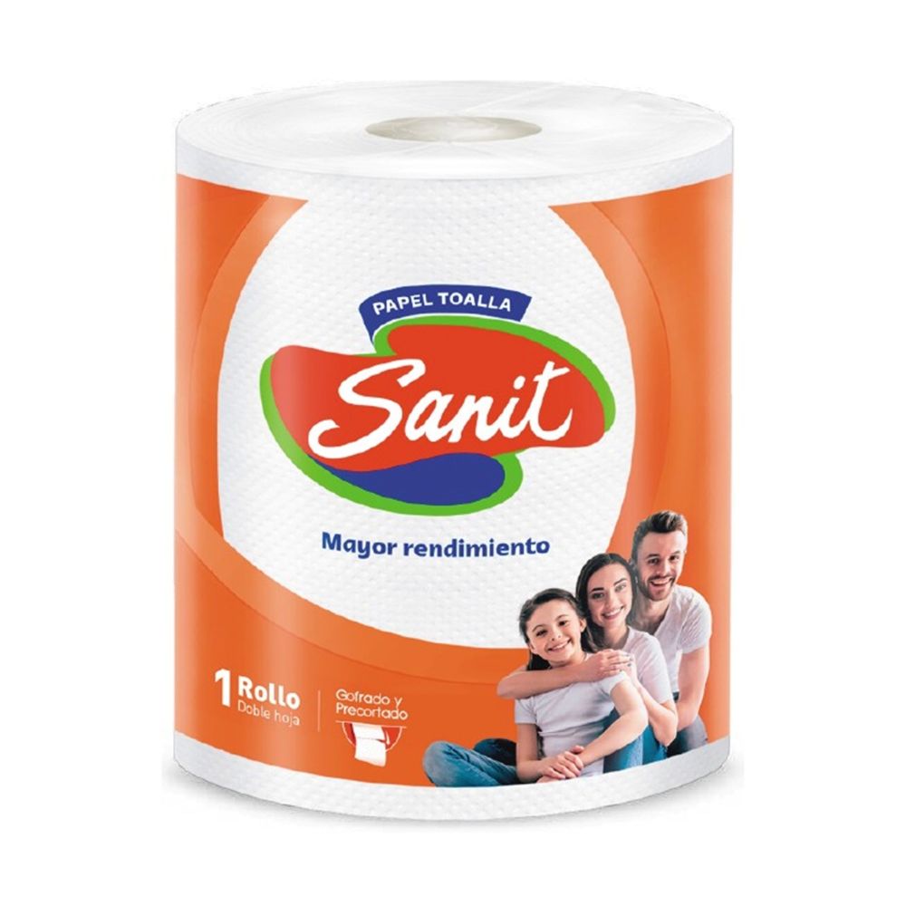 Papel toalla 2 hojas 100 m x 1 rollo Sanit