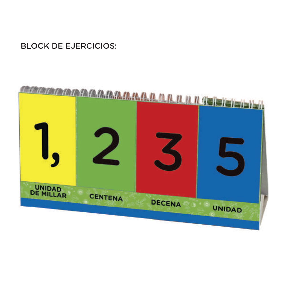 Base 10 o multibase Evaflex