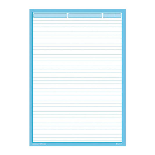 Papelógrafo rayado 58 x 83 cm x 25 unidades 56 gr