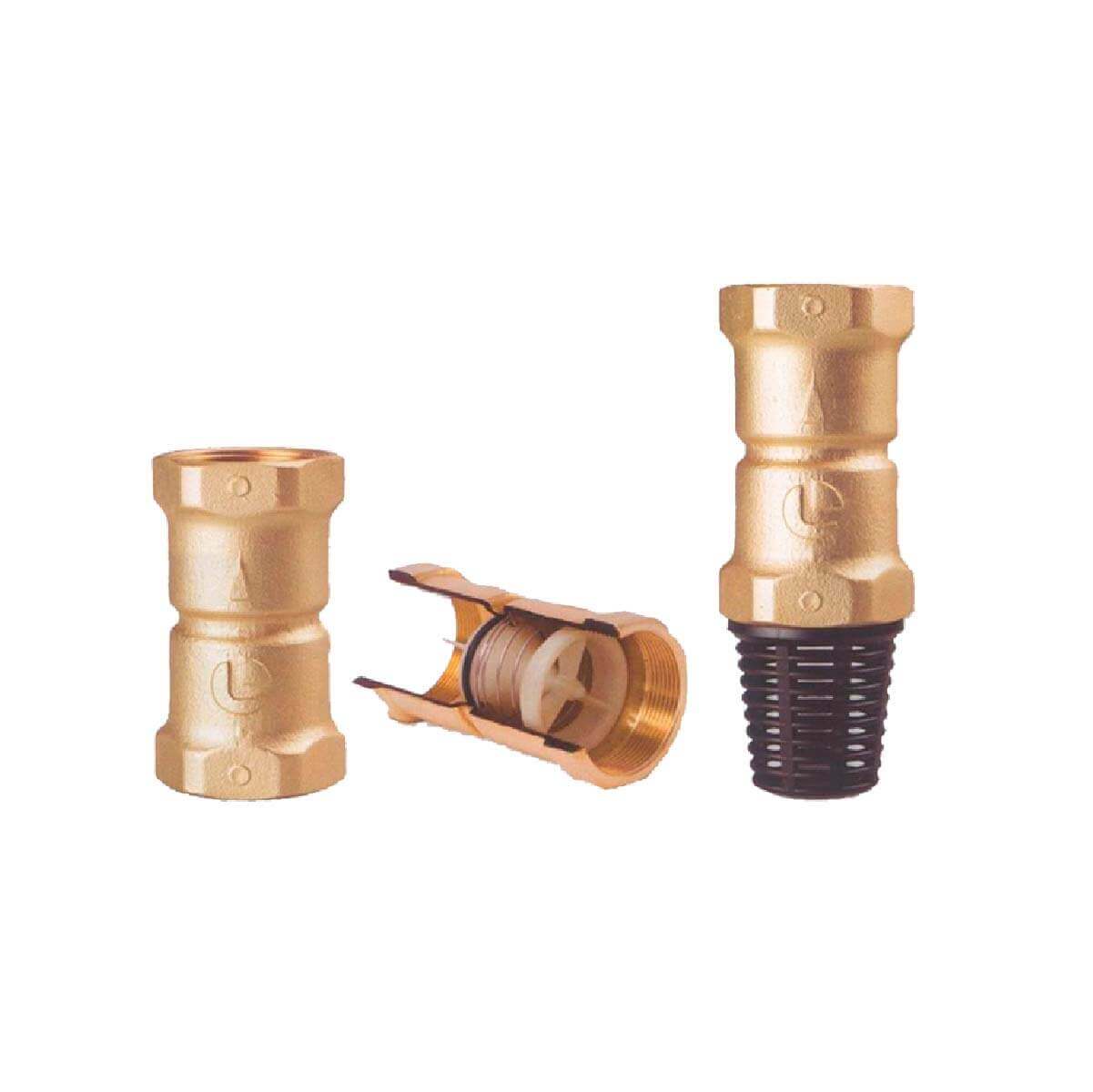 Válvula 2 pulgadas para gasfitería check pie Luise