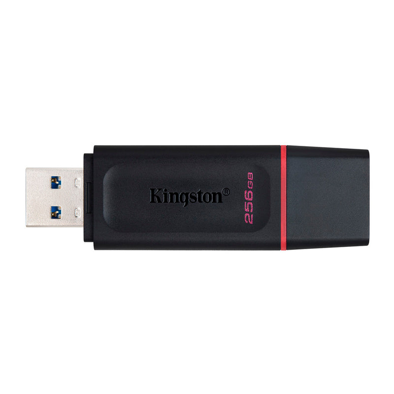 Memoria USB datatravele DTX 256GB 3.2 g1