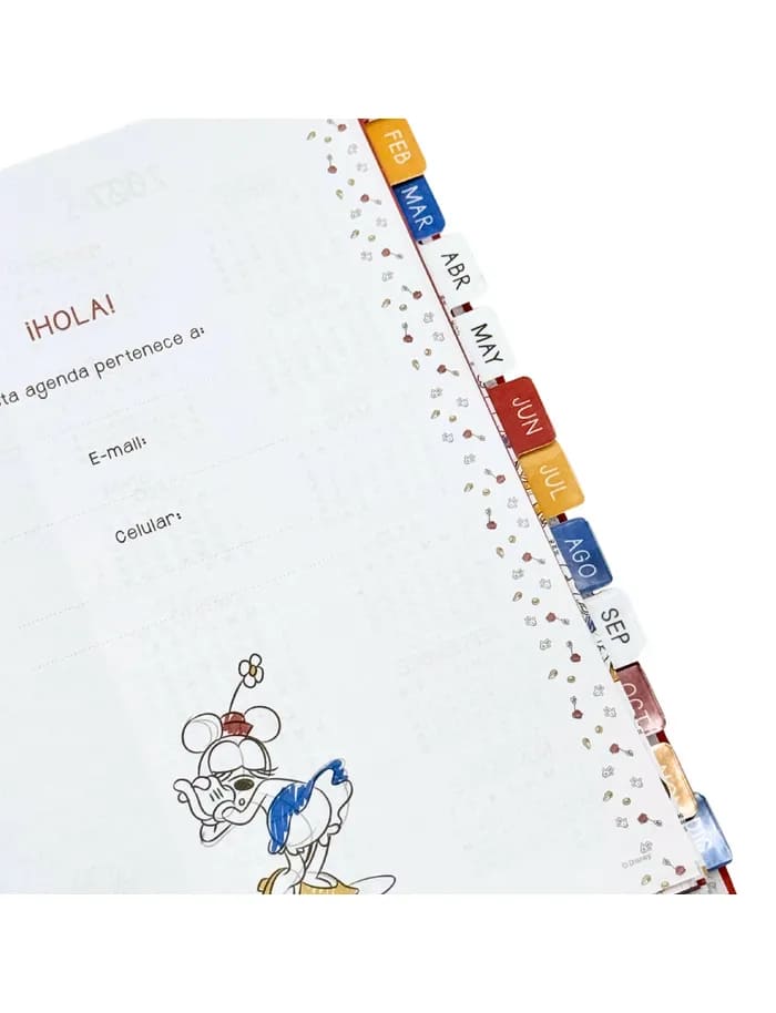 Agenda 2026 Minnie Disney